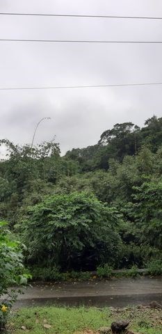 新北市瑞芳區園山子路37號建物4