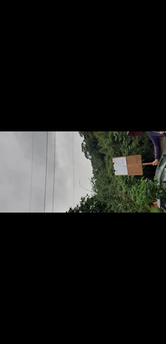 查封土地照1