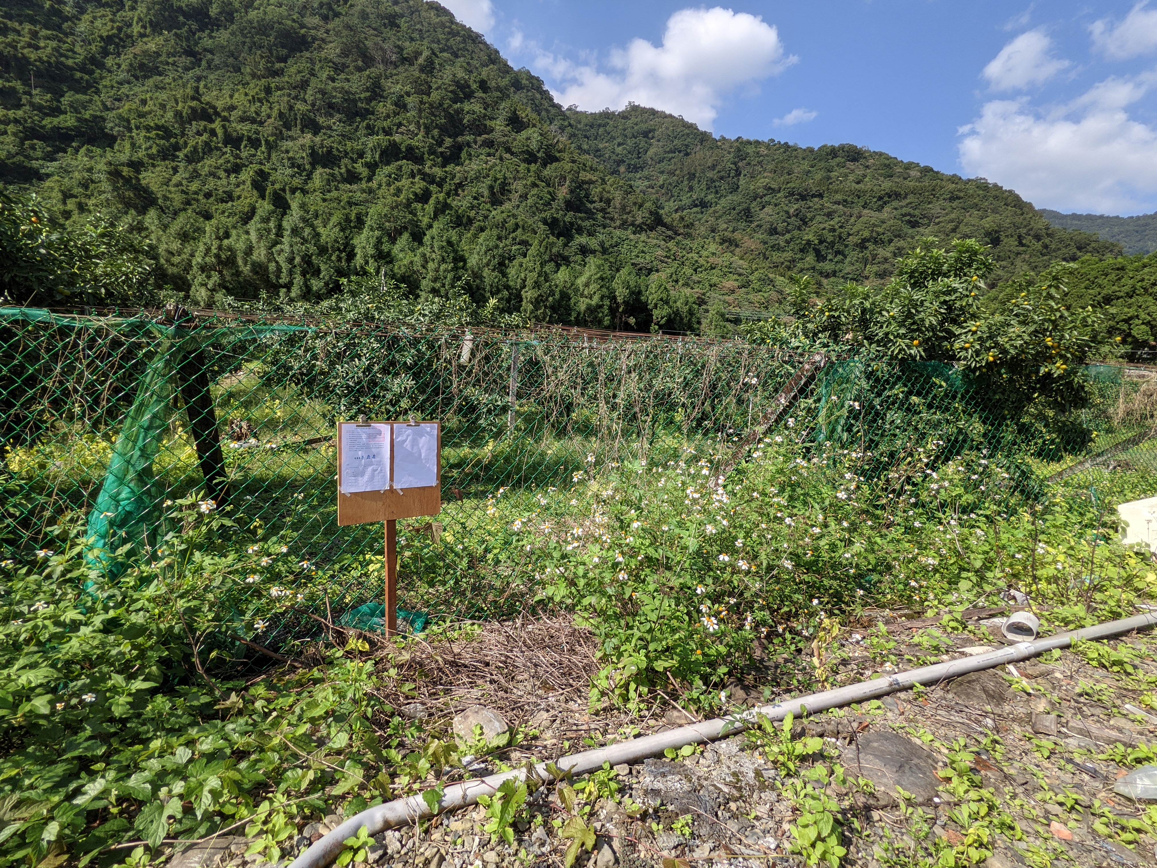 宜蘭分署拍賣無照駕駛且拒絕酒測劉姓男子土地