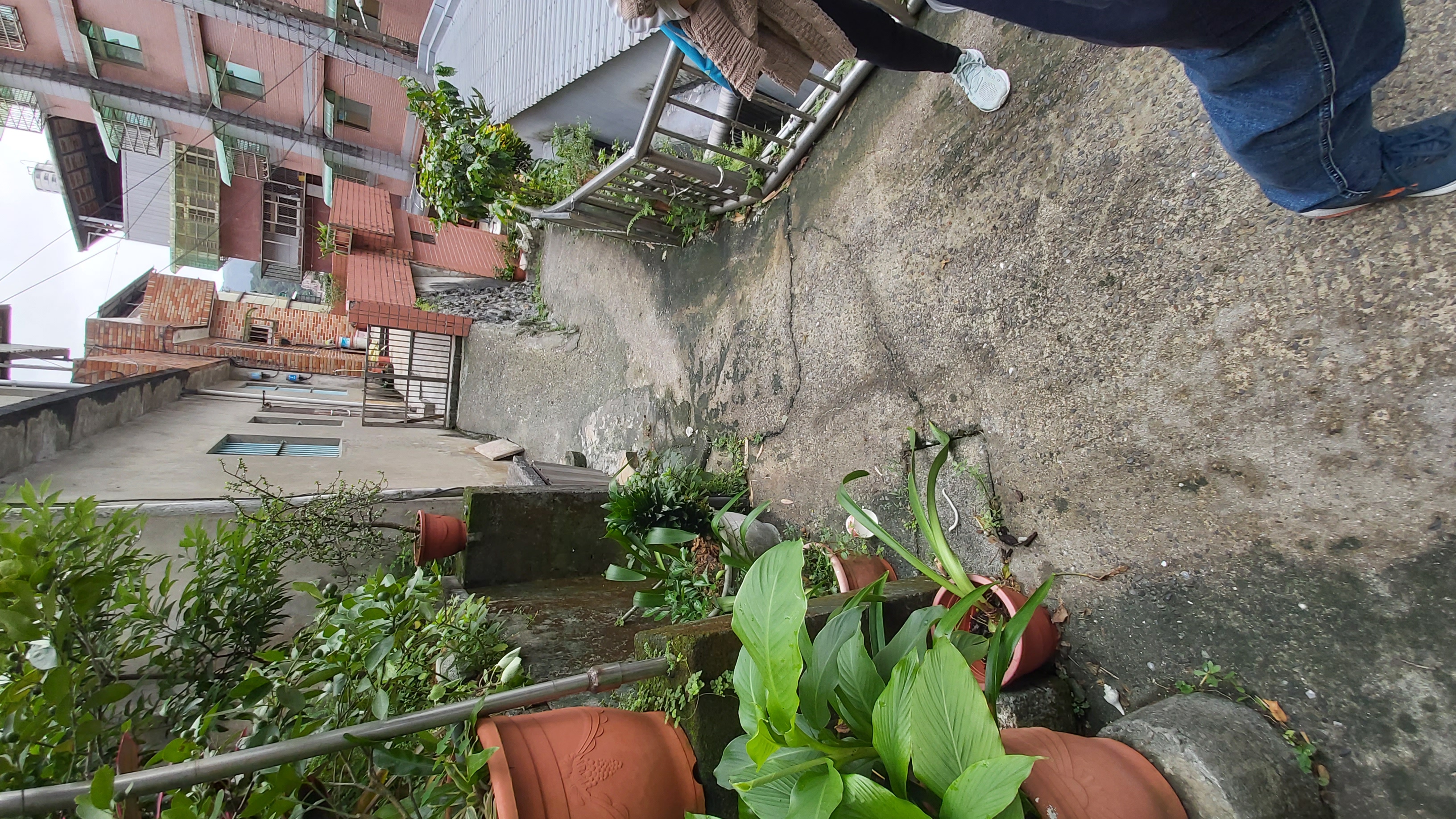 宜蘭分署拍賣欠稅舊案義務人土地2