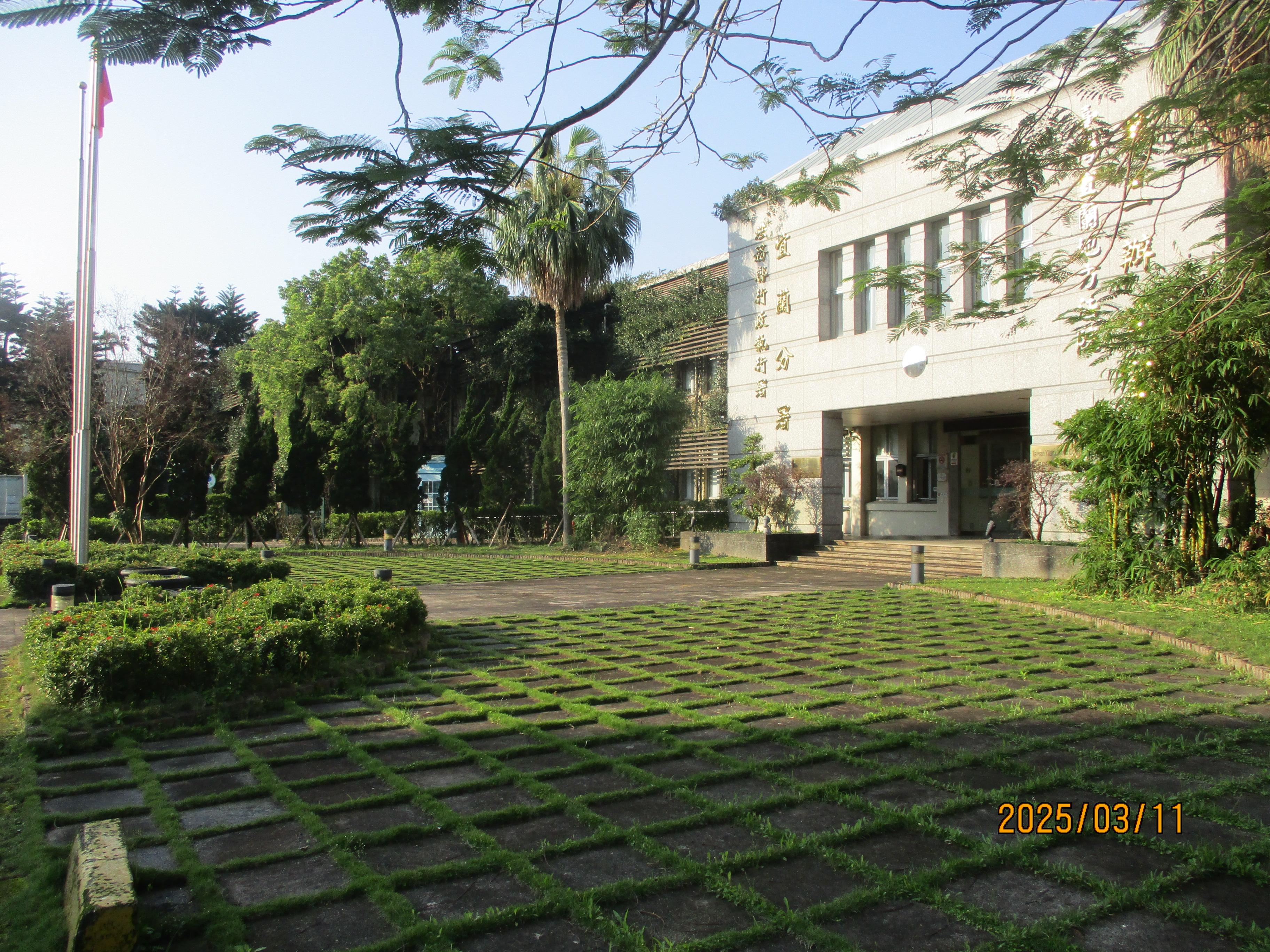 06