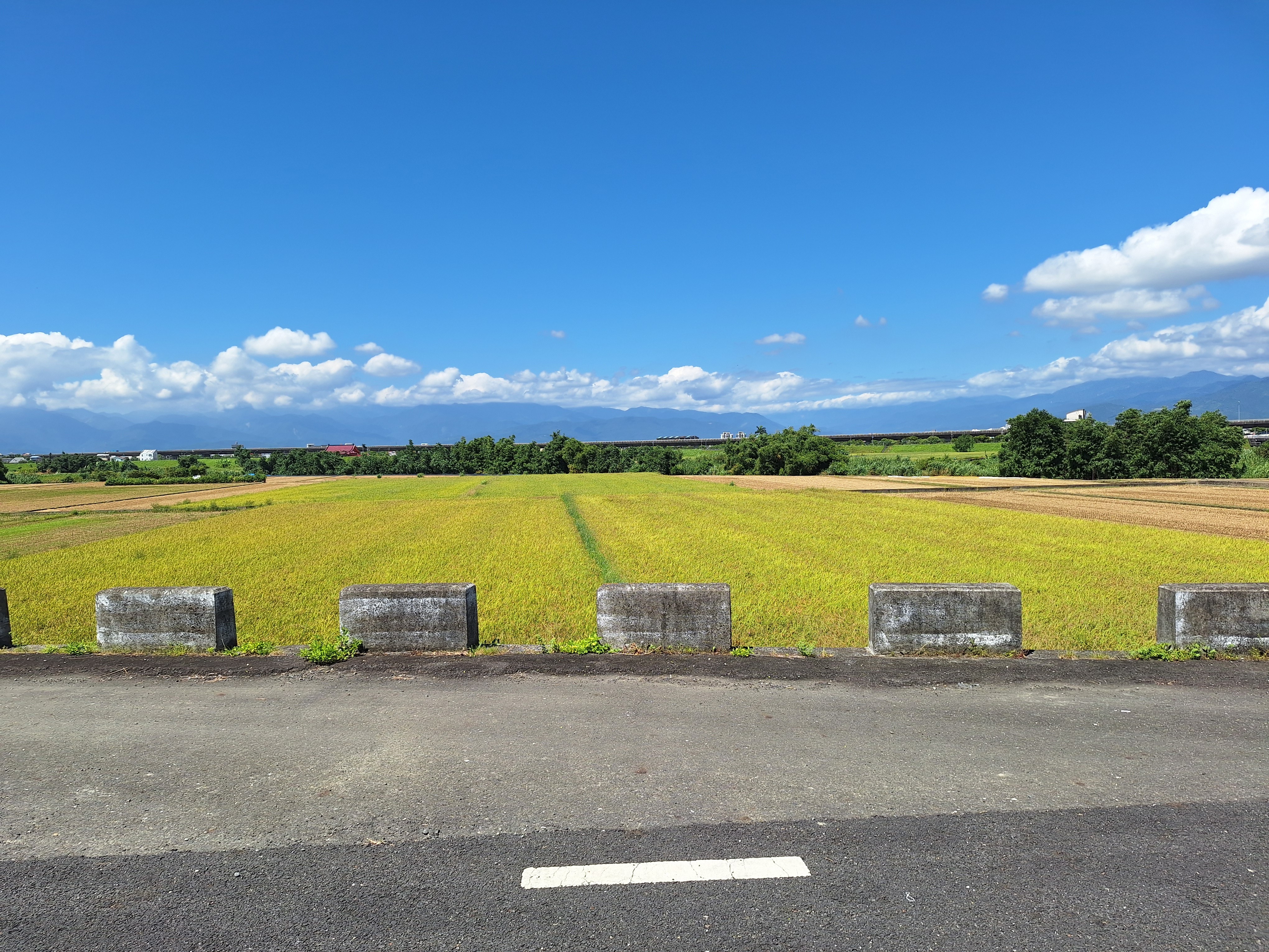 （宜蘭）1111拍賣酒駕林男壯圍土地messageImage_1761128318976